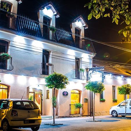 Hotel-Pensiunea Zefir Temešvár Exteriér fotografie