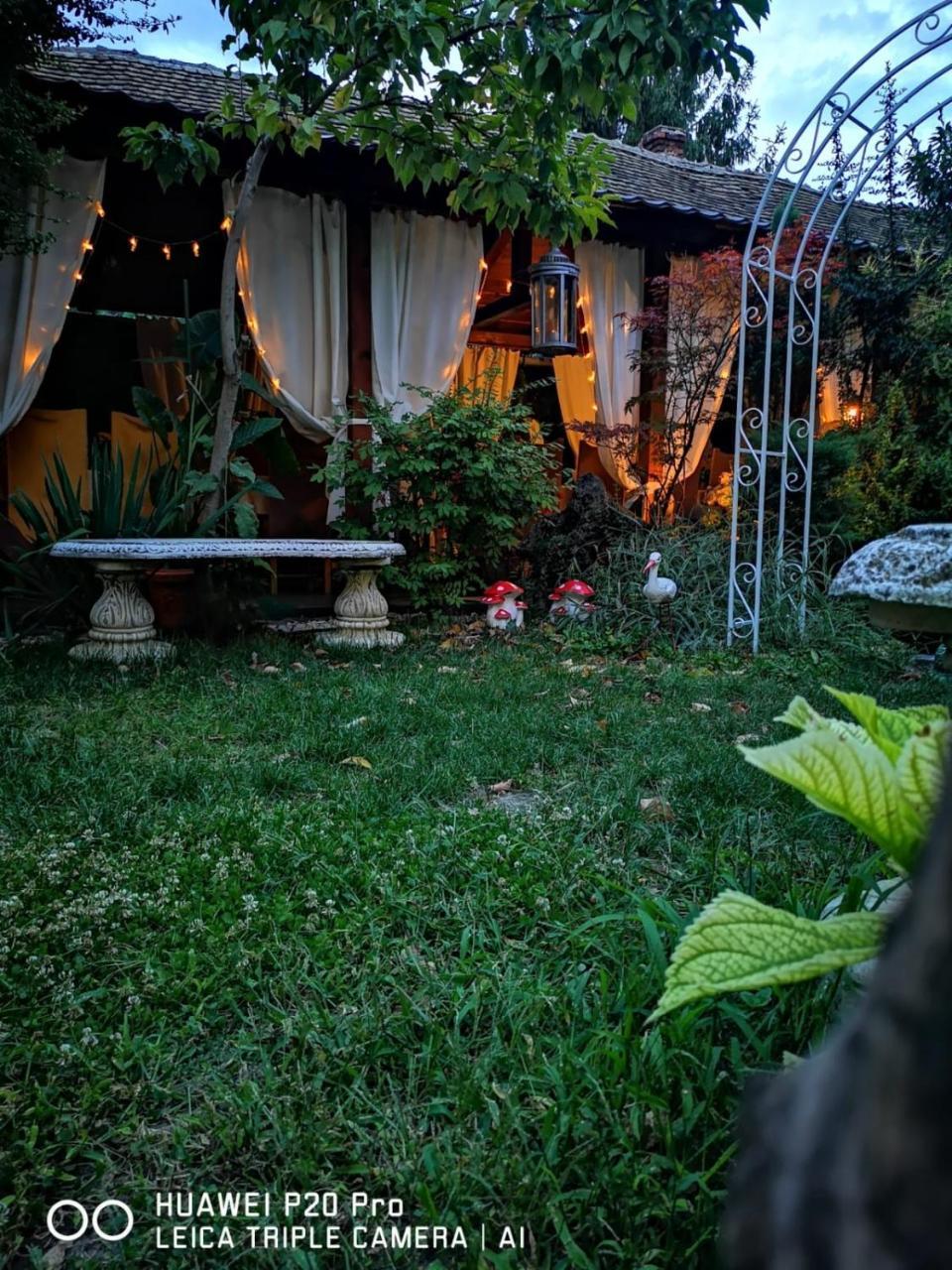 Hotel-Pensiunea Zefir Temešvár Exteriér fotografie